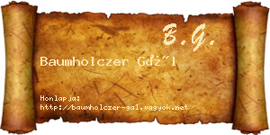 Baumholczer Gál névjegykártya